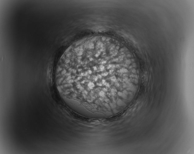 X0000087531205200705181024