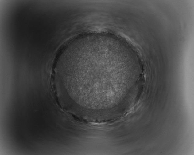 X0000087531206200705181024