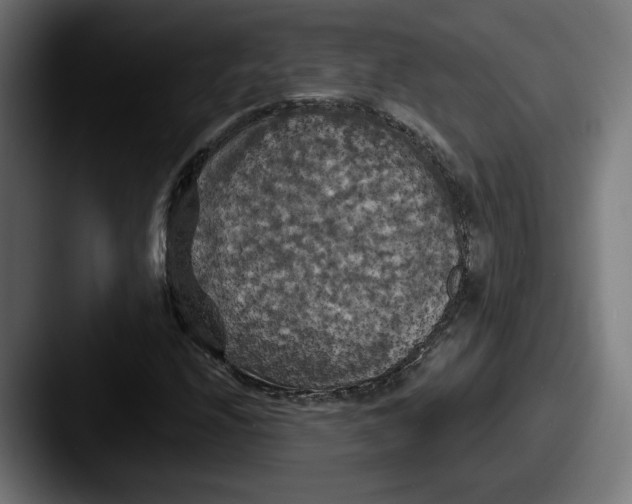 X0000087531208200705181024