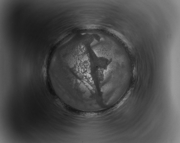 X0000087531209200705181024