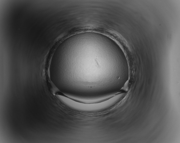 X0000087531210200705181024