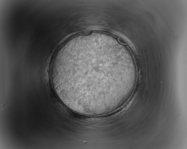 X0000087531212200705181024