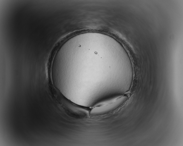 X0000087531214200705181024