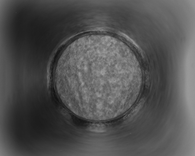 X0000087531215200705181024