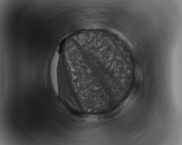 X0000087531217200705181024