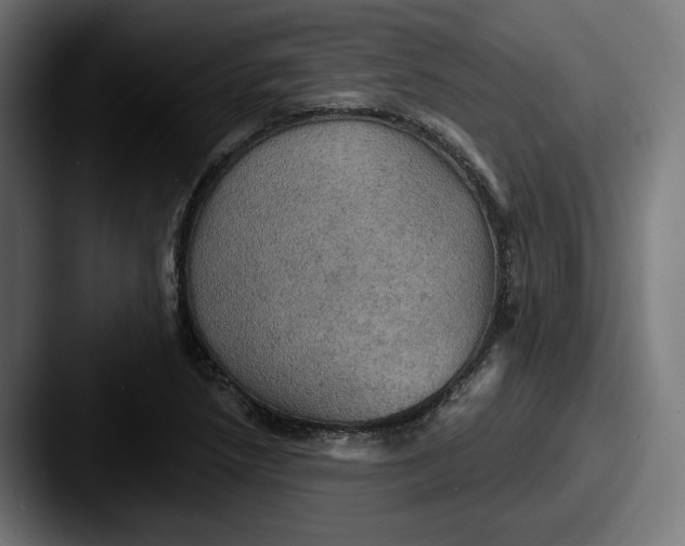 X0000087531218200705181024