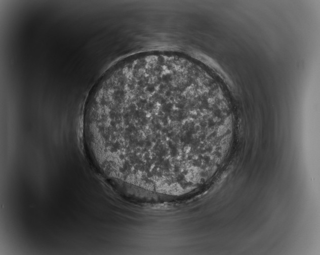 X0000087531220200705181024