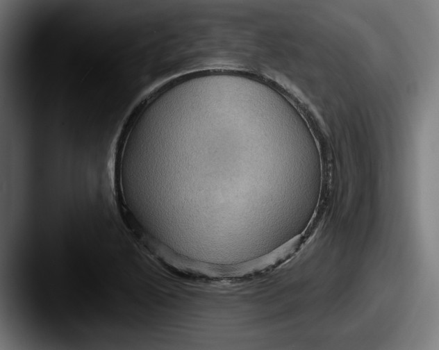 X0000087531222200705181024