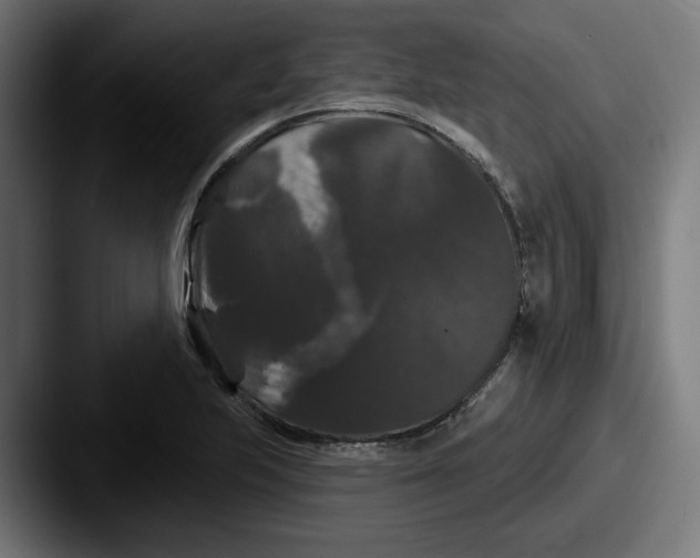 X0000087531223200705181024