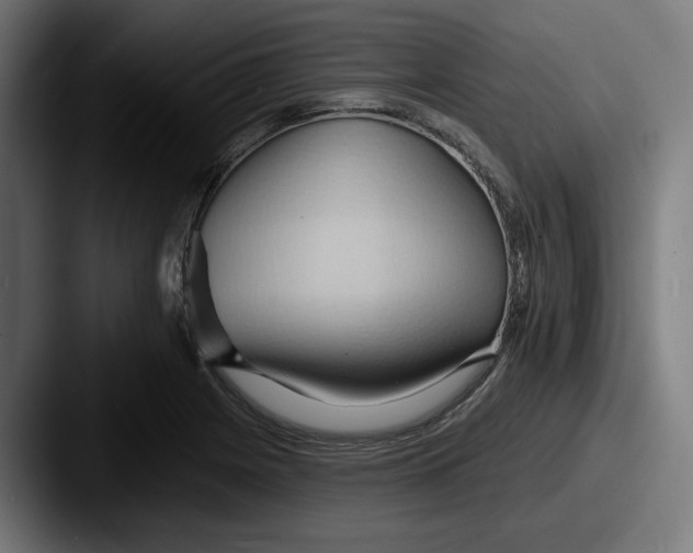 X0000087531225200705181024