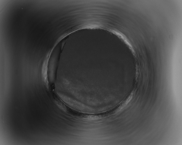 X0000087531226200705181024