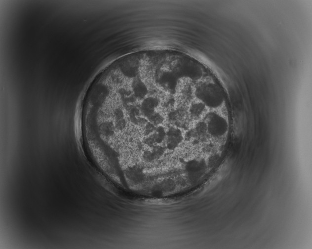 X0000087531227200705181025