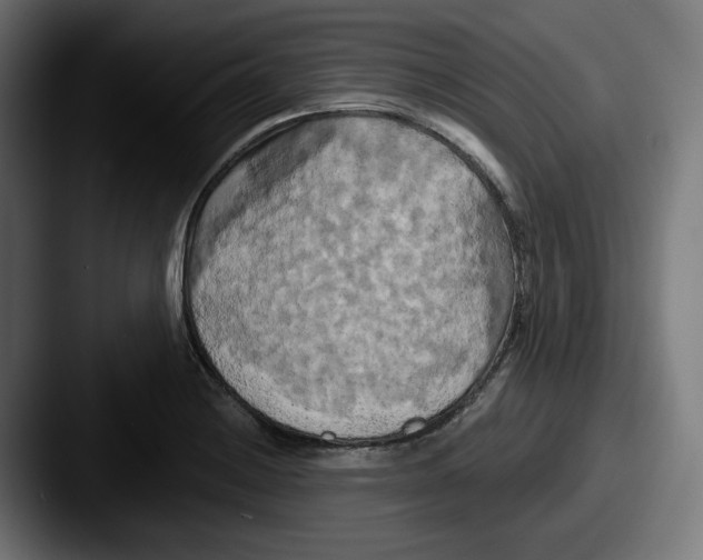 X0000087531228200705181025