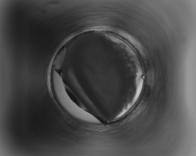 X0000087531229200705181025