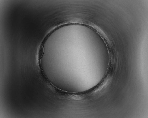 X0000087531230200705181025