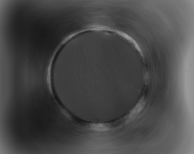 X0000087531231200705181025