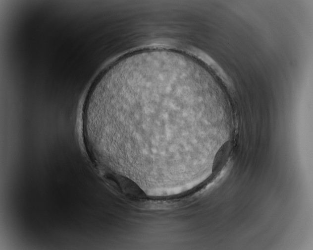 X0000087531232200705181025