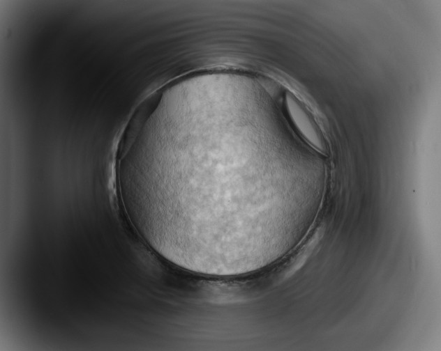 X0000087531234200705181025