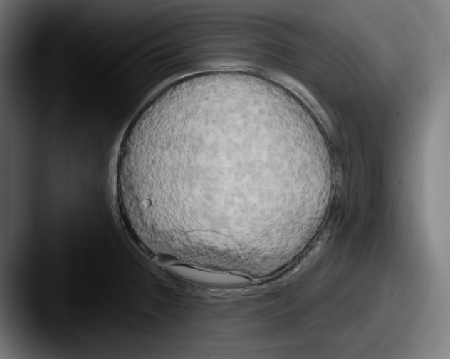 X0000087531236200705181025