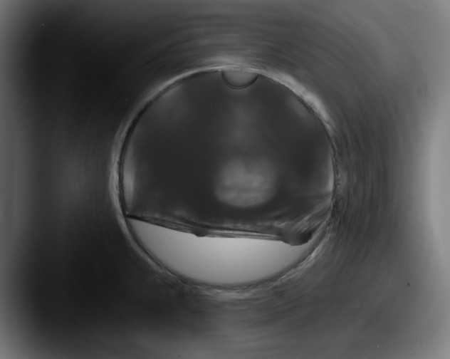 X0000087531239200705181025