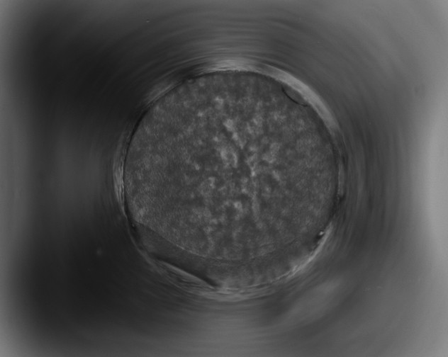 X0000087531241200705181025