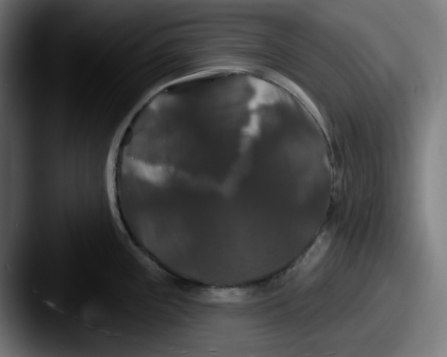 X0000087531243200705181025