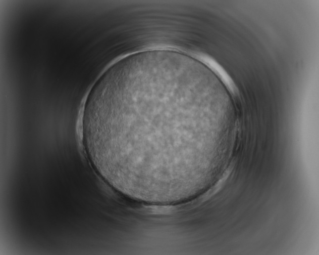 X0000087531244200705181025