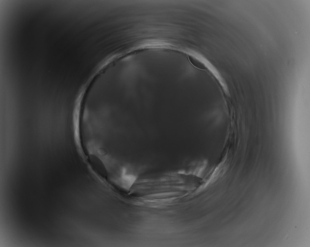 X0000087531245200705181025