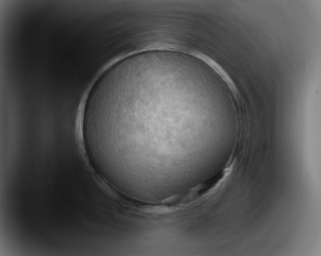 X0000087531246200705181025