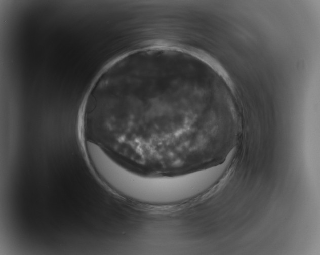 X0000087531247200705181025