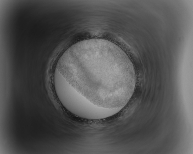 X0000087531249200705181024