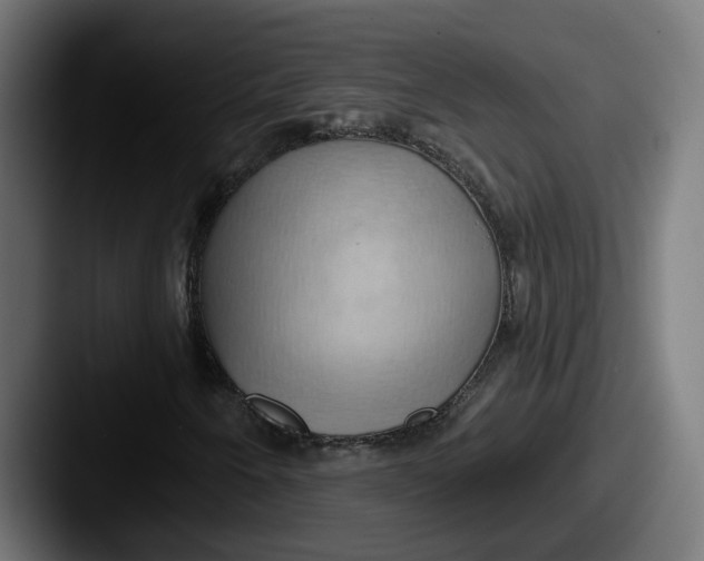 X0000087531250200705181024