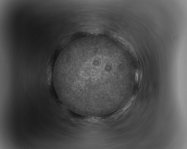 X0000087531251200705181024