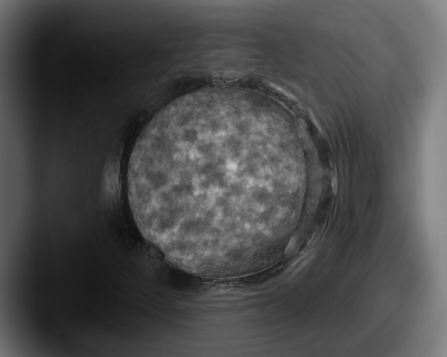 X0000087531252200705181024