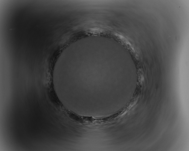 X0000087531253200705181024