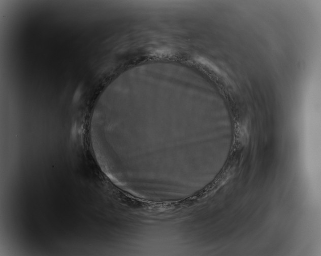 X0000087531254200705181024