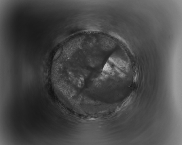 X0000087531255200705181024