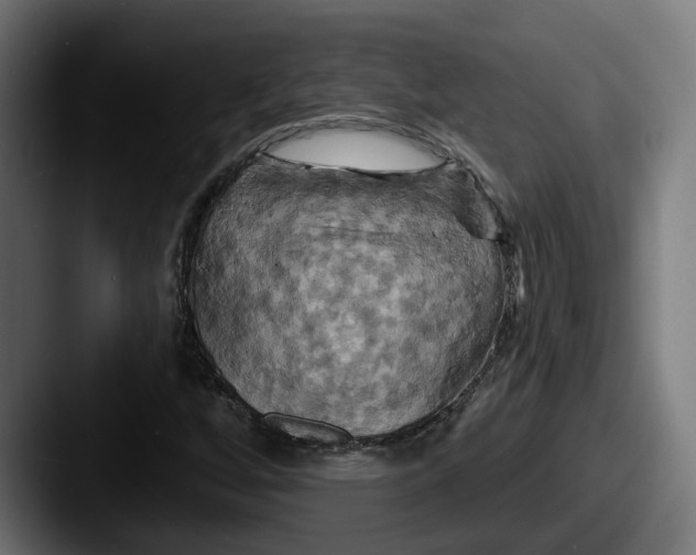 X0000087531256200705181024