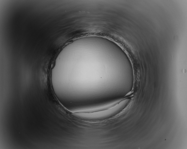 X0000087531257200705181024