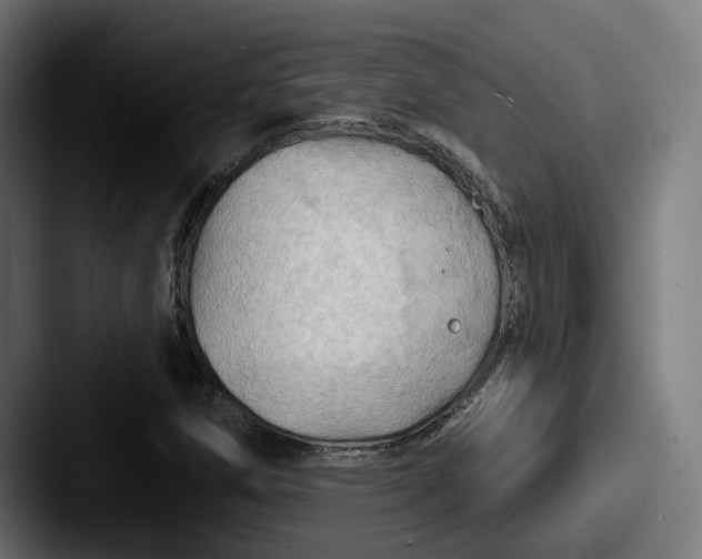 X0000087531258200705181024