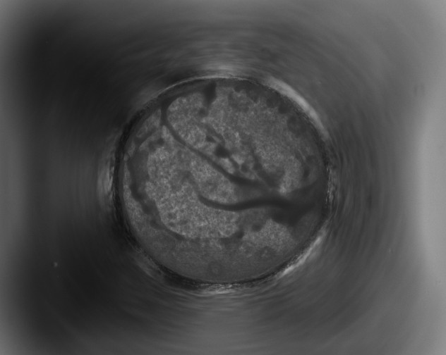 X0000087531259200705181024