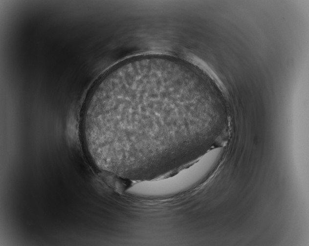 X0000087531260200705181024