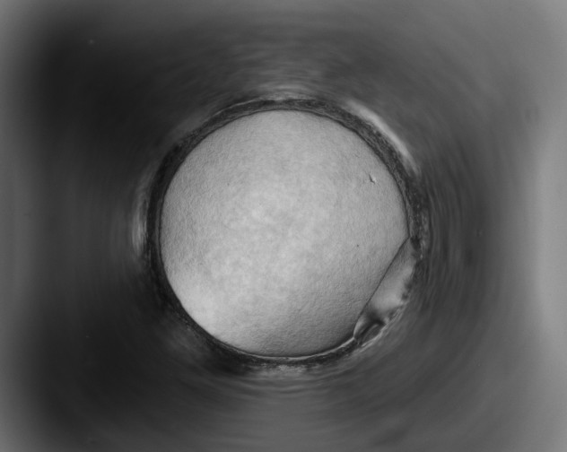 X0000087531261200705181024