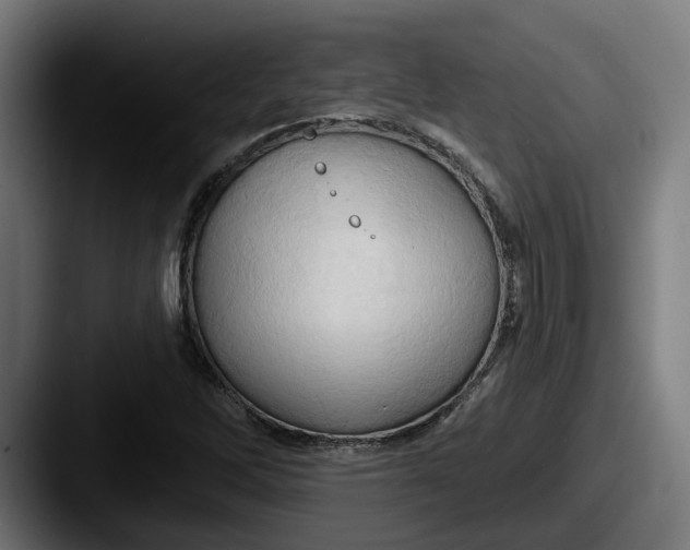 X0000087531262200705181024