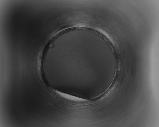 X0000087531263200705181024