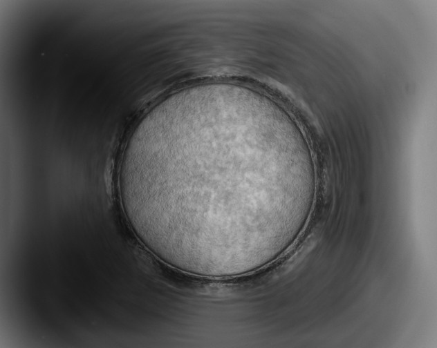 X0000087531265200705181024