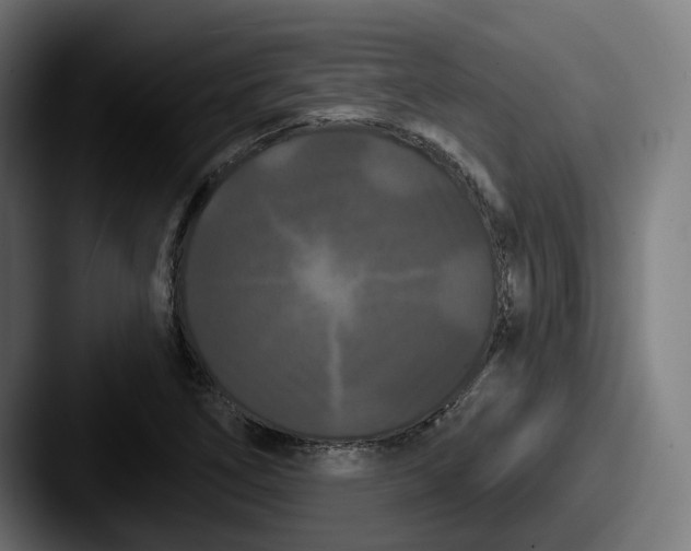 X0000087531266200705181024