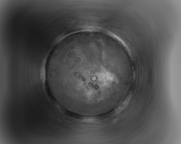 X0000087531267200705181024