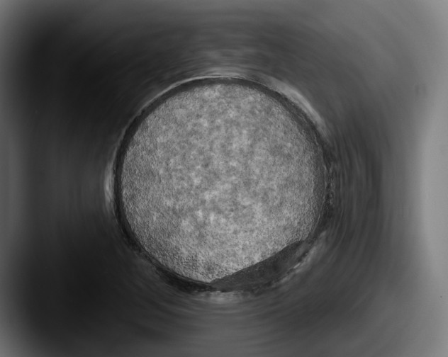 X0000087531268200705181024