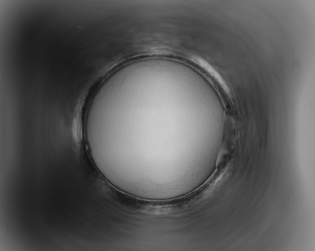 X0000087531269200705181024